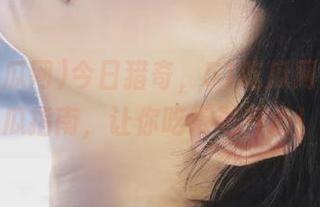 今日猎奇，51吃瓜网直达吃瓜指南，让你吃得更开心！