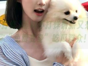 黑料不打烊最新又来啦，包你“免费变身”吃瓜群众！